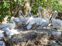 Tiergarten Schönbrunn am 03.10.2025